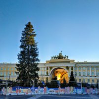 ёлка, Санкт Петербург,2025 :: Laryan1 ёлка, Санкт Петербург,2025 :: Laryan1