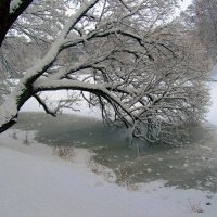 Над проталиной :: Сергей Карачин Над проталиной :: Сергей Карачин