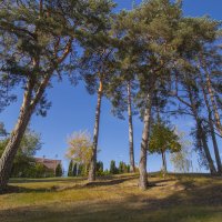 б/н :: Николай б/н :: Николай