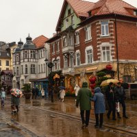 Курортный проспект :: Лилия . Курортный проспект :: Лилия .