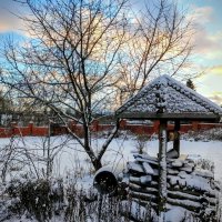 Зима пришла в Подмосковье. :: Михаил Столяров Зима пришла в Подмосковье. :: Михаил Столяров