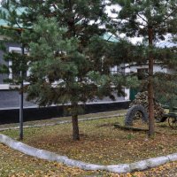 В соснах Задонска :: Татьяна Машошина В соснах Задонска :: Татьяна Машошина