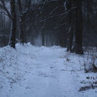 Тишина :: Вадим Бакка