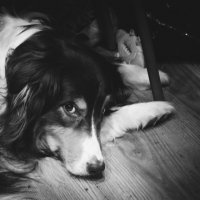 кажется в глазах укор :: Артём 