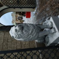 Этот не замерзнет :: Андрей Лукьянов