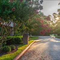 Утро :: **** vedin Утро :: **** vedin