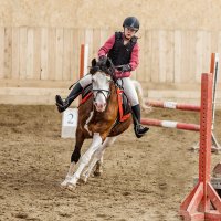 Конкур :: SanSan 