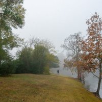 Туман :: **** vedin Туман :: **** vedin