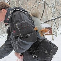 Надо кофр проверить... :: Галина Нестратова Надо кофр проверить... :: Галина Нестратова