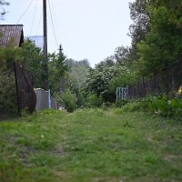 Тишина :: redfox 