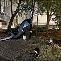 Утренние посиделки у большого брата.:) :: Валерия Комова Утренние посиделки у большого брата.:) :: Валерия Комова