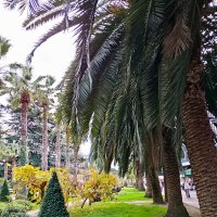 ул.Навагинская :: Tata Wolf ул.Навагинская :: Tata Wolf