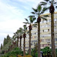 ул.Навагинская :: Tata Wolf ул.Навагинская :: Tata Wolf