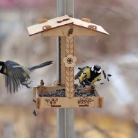 Левитация семечек. :: Татьяна Бравая