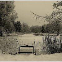 Вот и зима :: Aleksandr Gal Вот и зима :: Aleksandr Gal