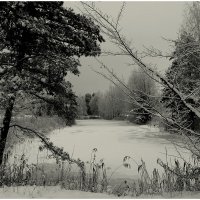 *** :: Aleksandr Gal *** :: Aleksandr Gal