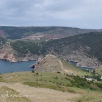 Природа Крыма :: Amazing Cosmea Природа Крыма :: Amazing Cosmea