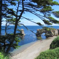 мыс Птичий :: ИРЭН@ .