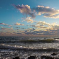 Море. :: Александр. AVG100 ---