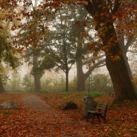 Осенний парк опять зовёт меня,лежит туман в желтеющей глуши. :: Юрий. Шмаков Осенний парк опять зовёт меня,лежит туман в желтеющей глуши. :: Юрий. Шмаков