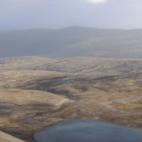 **** :: Алексей Соловьев **** :: Алексей Соловьев