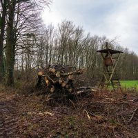 Скрадок... :: Николай Гирш