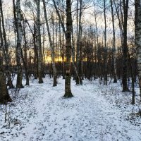 Декабрь, который уже можно признать за зиму :: Андрей Лукьянов Декабрь, который уже можно признать за зиму :: Андрей Лукьянов