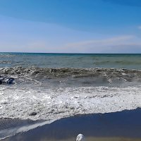 У Черного  моря. Сочи, Саша, март 2022 :: Фотогруппа Весна