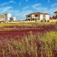 Берег :: Анатолий Чикчирный Берег :: Анатолий Чикчирный