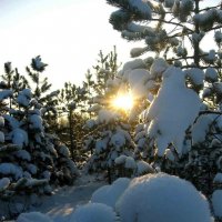 Декабрь...Берендеево царство! :: Владимир 