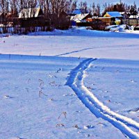 Декабрь...Дачи у протоки Чеускина! :: Владимир 