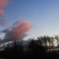 Вечерние облака :: Людмила Смородинская