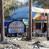 На Алтае :: Галина Нестратова