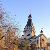 Декабрь вспомнил, что он - зимний месяц! И мы увидели солнце! :: Ольга Декабрь вспомнил, что он - зимний месяц! И мы увидели солнце! :: Ольга