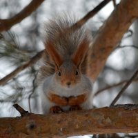 Найди меня! :: Татьяна Лютаева