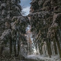 Зимняя дорожка :: Сергей Цветков