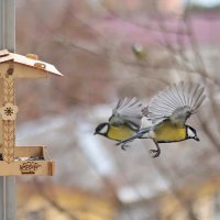 Кто куда. :: Татьяна Бравая Кто куда. :: Татьяна Бравая