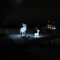 Олени ночью :: Андрей Макурин