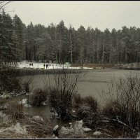 **** :: Aleksandr Gal **** :: Aleksandr Gal