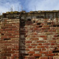 старая стена :: Елена Шаламова