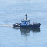 По заливу Анива :: ИРЭН@ . По заливу Анива :: ИРЭН@ .