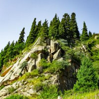 СНОВА БАК :: HART BAD СНОВА БАК :: HART BAD