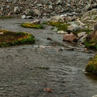 СНОВА БАК :: HART BAD СНОВА БАК :: HART BAD