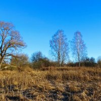 Зима, похожая на осень. :: Милешкин Владимир Алексеевич Зима, похожая на осень. :: Милешкин Владимир Алексеевич