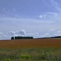 ... :: Сергей Яковлев