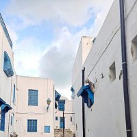 Зажиточная деревня Сиди-Бу-Саид, Тунис :: Елена 