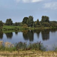 б/н :: Николай 