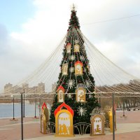 Ёлка у озера :: Андрей Снегерёв