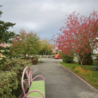 Осенью :: Дмитрий П