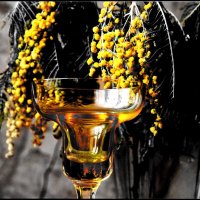 В оттенках желтого... :: Руслан 